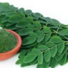 Moringa planta entera y pulverizada